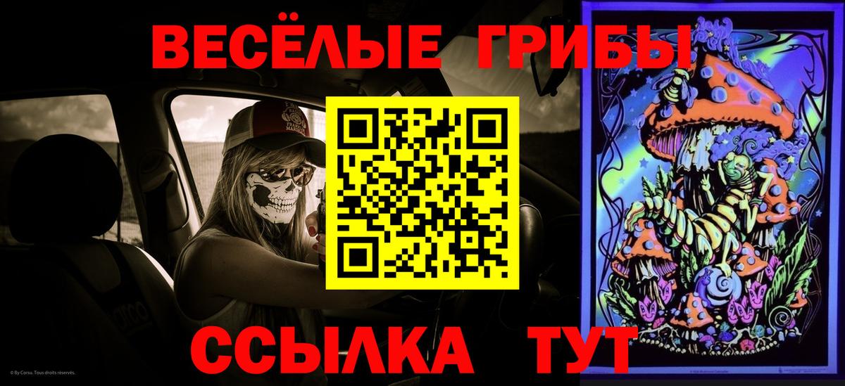 Галлюциногенные грибы Psilocybe  Галлюциногенные грибы Psilocybine cubensis  Вход с VPN  Котлас 