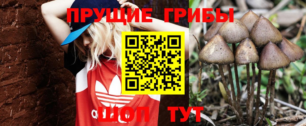 Псилоцибиновые грибы Magic Shrooms Котлас